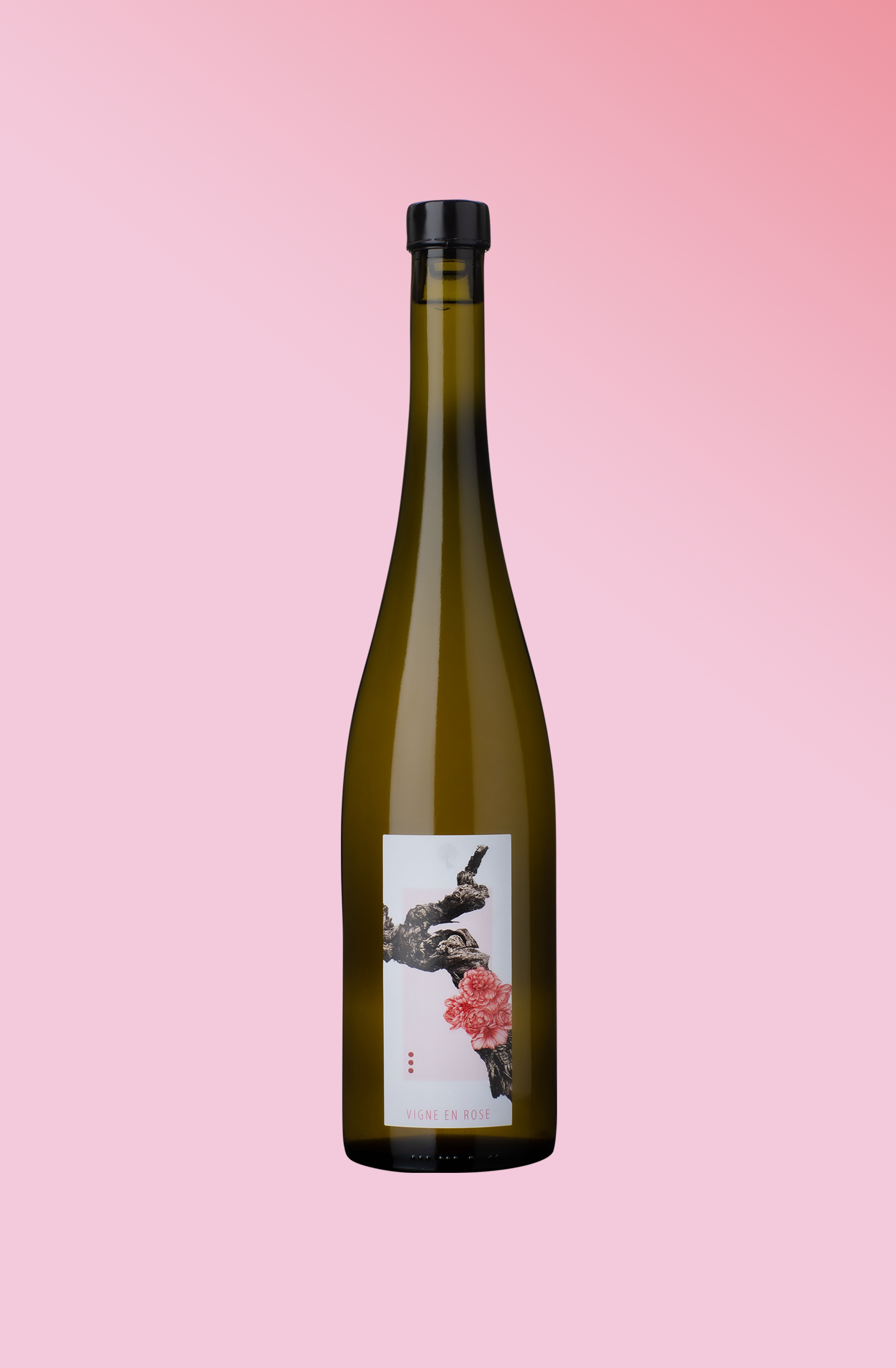 La Vigne En Rose 2024